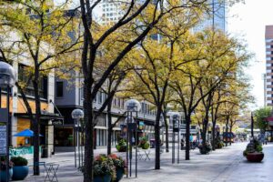 a street with trees and buildings